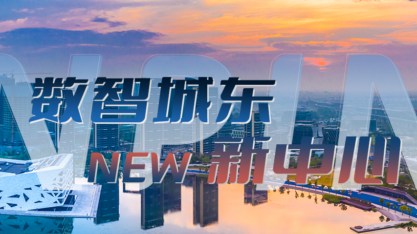 临平新城重点地块