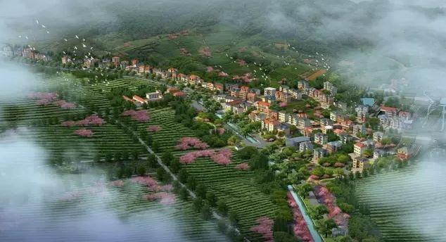 喜看都市桃花源 杭州西湖区土地整治流转致力