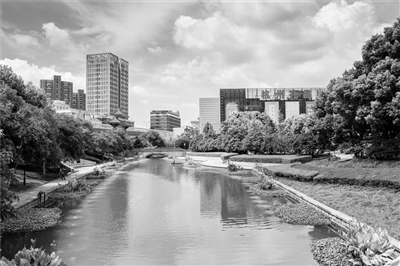 上城区新开河通过生态示范河道验收 _住在杭州